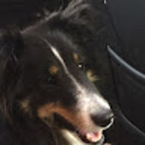 Meet your Posher, Spencer